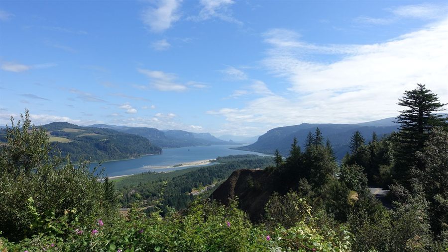 Columbia River Gorge from a viewpoint