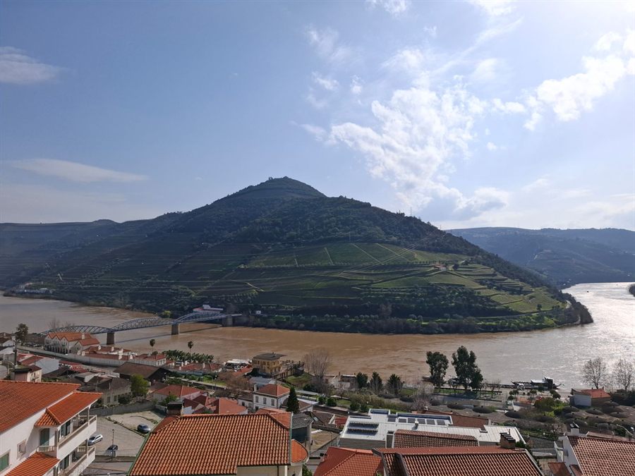 Terraced Douro vineyards